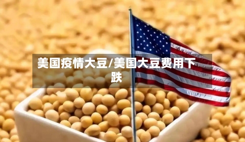 美国疫情大豆/美国大豆费用下跌-第3张图片