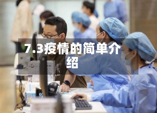 7.3疫情的简单介绍