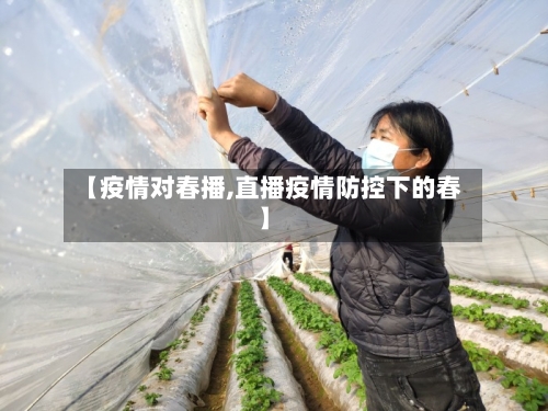【疫情对春播,直播疫情防控下的春】