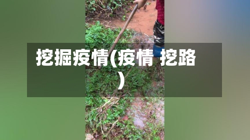 挖掘疫情(疫情 挖路)