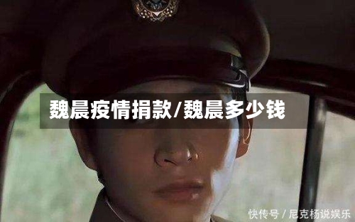 魏晨疫情捐款/魏晨多少钱-第3张图片