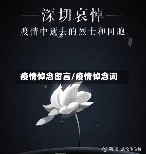 疫情悼念留言/疫情悼念词-第2张图片