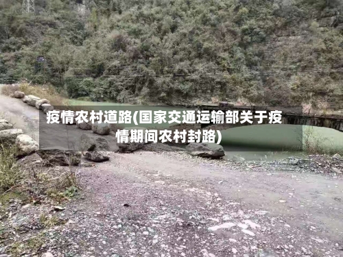 疫情农村道路(国家交通运输部关于疫情期间农村封路)-第2张图片