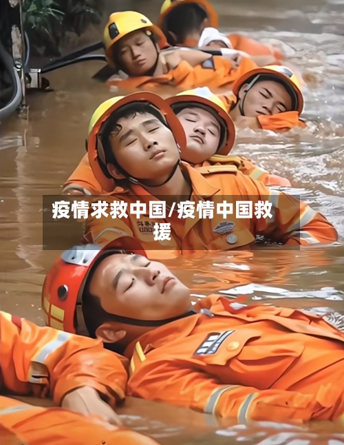 疫情求救中国/疫情中国救援-第2张图片
